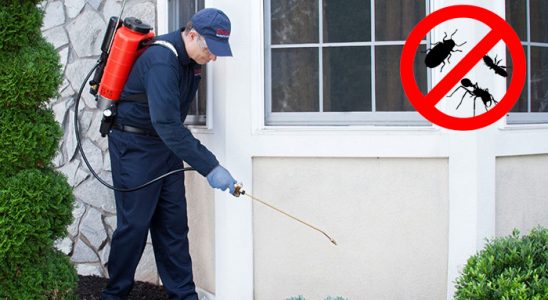 Kağızman Hamam Böceği İlaçlama böcek ilaçlama ve haşere kontrolü — ilaclama-tr.com